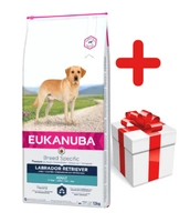 Eukanuba adult labrador retriever 12kg + niespodzianka dla psa GRATIS!