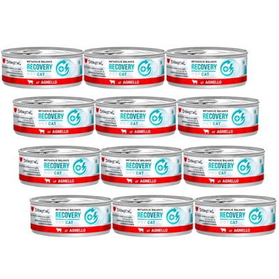 Disugual Karma mokra dla kota Weterynaryjna RECOVERY Jagnięcina (dorosły) 12x85g