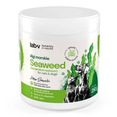 Lab-v Algi Morskie – naturalne źródło jodu i minerałów dla psów i kotów 400 g