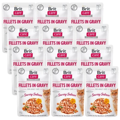 BRIT CARE Cat  Pouches Fillets in Gravy with Savory Salmon 12x85g