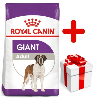 ROYAL CANIN Giant Adult 15kg karma sucha dla psów dorosłych, od 18/24 miesiąca życia, ras olbrzymich +  niespodzianka dla psa GRATIS!