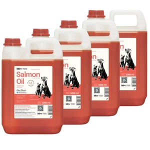 Lab-v Olej z Łososia 100% Dla Psa i Kota w Każdym Wieku 4x5000 ml (20L) Tłoczony Na Zimno