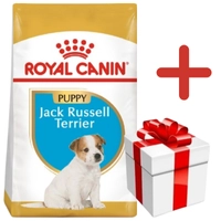 ROYAL CANIN Jack Russell Terrier Puppy 3kg karma sucha dla szczeniąt do 10 miesiąca, rasy jack russel terrier + NIESPODZIANKA DLA PSA GRATIS!!
