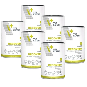 4T Veterinary Diet Recovery 6x400g