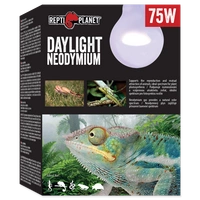 RP Żarówka  Daylight Neodymium 75W