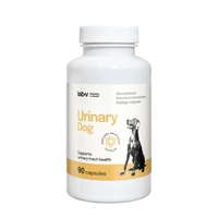 Lab-v Urinary Dog – Wsparcie przy zakażeniu dróg moczowych u psów 90 kapsułek