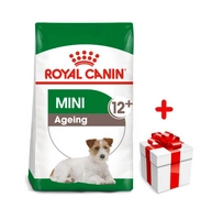 ROYAL CANIN Mini Ageing 12+ 1,5kg karma sucha dla psów dojrzałych po 12 roku życia, ras małych + niespodzianka dla psa GRATIS