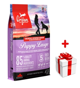 ORIJEN Puppy Large 6kg + niespodzianka dla psa GRATIS!