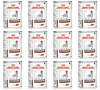 ROYAL CANIN Gastro Intestinal GI25 12x400g puszka PIES