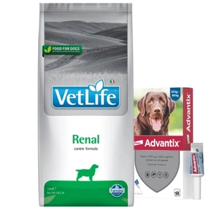 FARMINA Vet Life Dog Renal 12kg + Advantix - dla psów 25-40kg (pipeta 4ml)