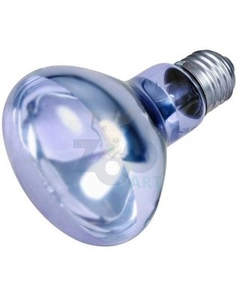 TRIXIE Punktowa lampa grzewcza neodymowa 100W