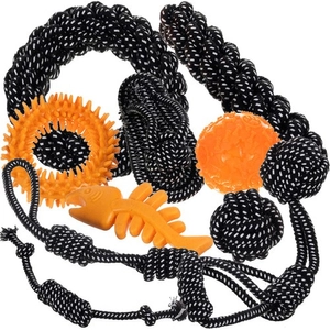 Purlov Zestaw zabawek dla psa - 10 szt.