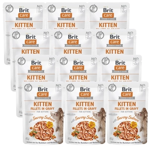 BRIT CARE Cat Kitten Fillets in Gravy with Savory Salmon Enriched with Sea Buckthorn and Nasturtium 12x85g