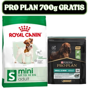 ROYAL CANIN Mini Adult 8kg karma sucha dla psów dorosłych, ras małych