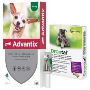 Advantix - dla psów do 4kg (4 pipety x 0,4ml) + Drontal - Dog flavour 2tabl. (kostki)