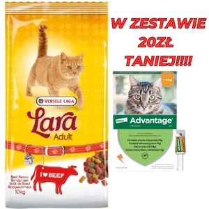 VERSELE-LAGA Lara Adult Beef 10kg + Advantage - dla kotów (0,4mlx4) *roztwór* blister