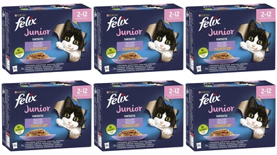 FELIX Fantastic Junior w galaretce; 72x85g