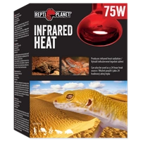 RP Żarówka  Infrared HEAT 75W