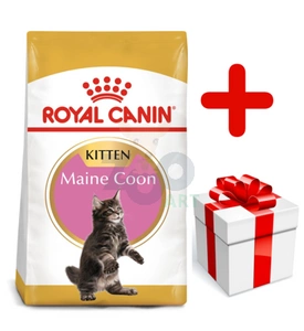 ROYAL CANIN Maine Coon Kitten 10kg +  niespodzianka dla kota GRATIS!