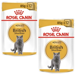 ROYAL CANIN British Shorthair Adult saszetka 2x(12x85g) (Sos) karma mokra w sosie dla kotów dorosłych rasy brytyjski krótkowłosy