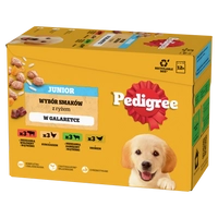 PEDIGREE Junior mix smaków w galaretce 12x100g