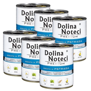 Dolina Noteci Premium Pstrąg 6x800g