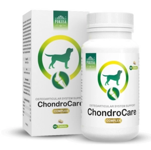 POKUSA ChondroLine ChondroCare 120 tabl.