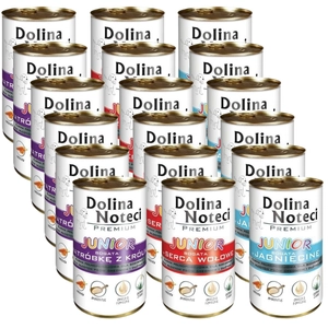 Dolina Noteci PREMIUM Junior MIX Smaków 18 x 400g