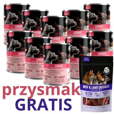 PetRepublic kawałki w sosie z łososiem 10x400g dla psa