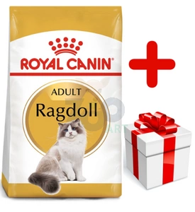 ROYAL CANIN Ragdoll Adult 10kg karma sucha dla kotów dorosłych rasy ragdoll  + niespodzianka dla kota GRATIS!