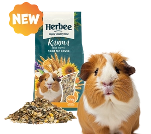 HERBEE KARMA dla kawi 500g