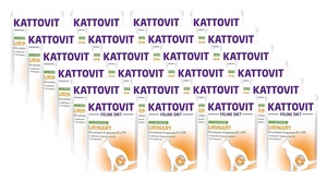 Kattovit Urinary indyk 24x85g saszetka