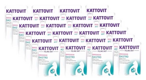 Kattovit Gastro łosoś 24x85g saszetka