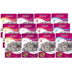SUPER BENEK Adult Saszetka dla kota MIX SMAKÓW 12x100g