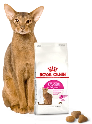 ROYAL CANIN  Exigent Savour 35/30 Sensation 400g karma sucha dla kotów dorosłych, wybrednych, kierujących się teksturą krokieta