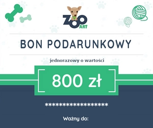 Bon podarunkowy 800zł