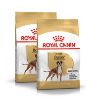 ROYAL CANIN Boxer Adult 2x12kg karma sucha dla psów dorosłych rasy bokser  