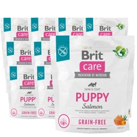 BRIT CARE Dog Grain-free Puppy Salmon 12x1kg