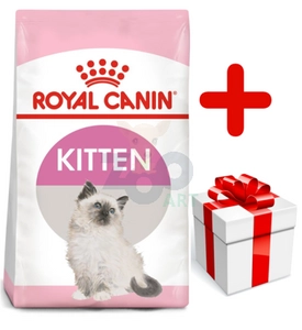 ROYAL CANIN  Kitten 10kg karma sucha dla kociąt od 4 do 12 miesiąca życia  + niespodzianka dla kota GRATIS!