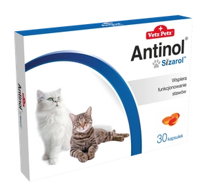 BIOVICO ANTINOL SIZAROL KOT 30 tabletek NA STAWY