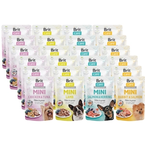 Brit Care Mini Mix Smaków fillets in gravy 24x85g