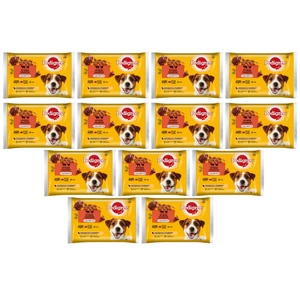 PEDIGREE Adult saszetka 13x(4x100g) - Wybór Smaków w Galaretce, mokra karma pełnoporcjowa w galaretce dla dorosłych psów (kawałki bogate w mieszankę wołowiny i wątróbki oraz kawałki bogate w drób)