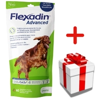 VETOQUINOL Flexadin Advanced Dietetyczna Karma Uzupełniająca Dla Psów  180g (60 kąsków) + NIESPODZIANKA DLA PSA GRATIS!!