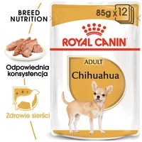 ROYAL CANIN Chihuahua Adult 12x85g karma mokra - pasztet, dla psów dorosłych rasy chihuahua