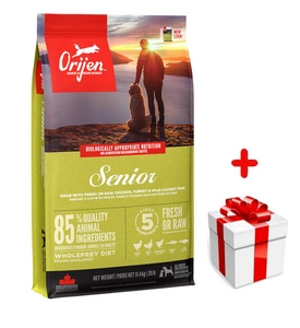 ORIJEN Dog Senior 11,4kg + niespodzianka dla psa GRATIS!