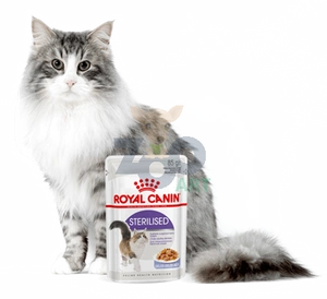 ROYAL CANIN  Sterilised 24x85g karma mokra w galaretce dla kotów dorosłych, sterylizowanych