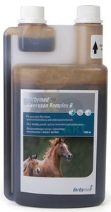 LIVISTO Derbymed Viverosan Komplex B 1l