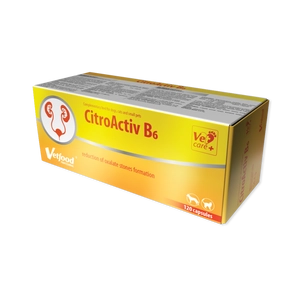 VETFOOD CitroActiv B6 120 kapsułek