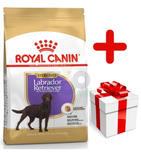 ROYAL CANIN Labrador Retriever Sterilised Adult 12kg + niespodzianka dla psa GRATIS!