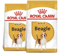 ROYAL CANIN Beagle Adult 2x12kg karma sucha dla psów dorosłych rasy beagle